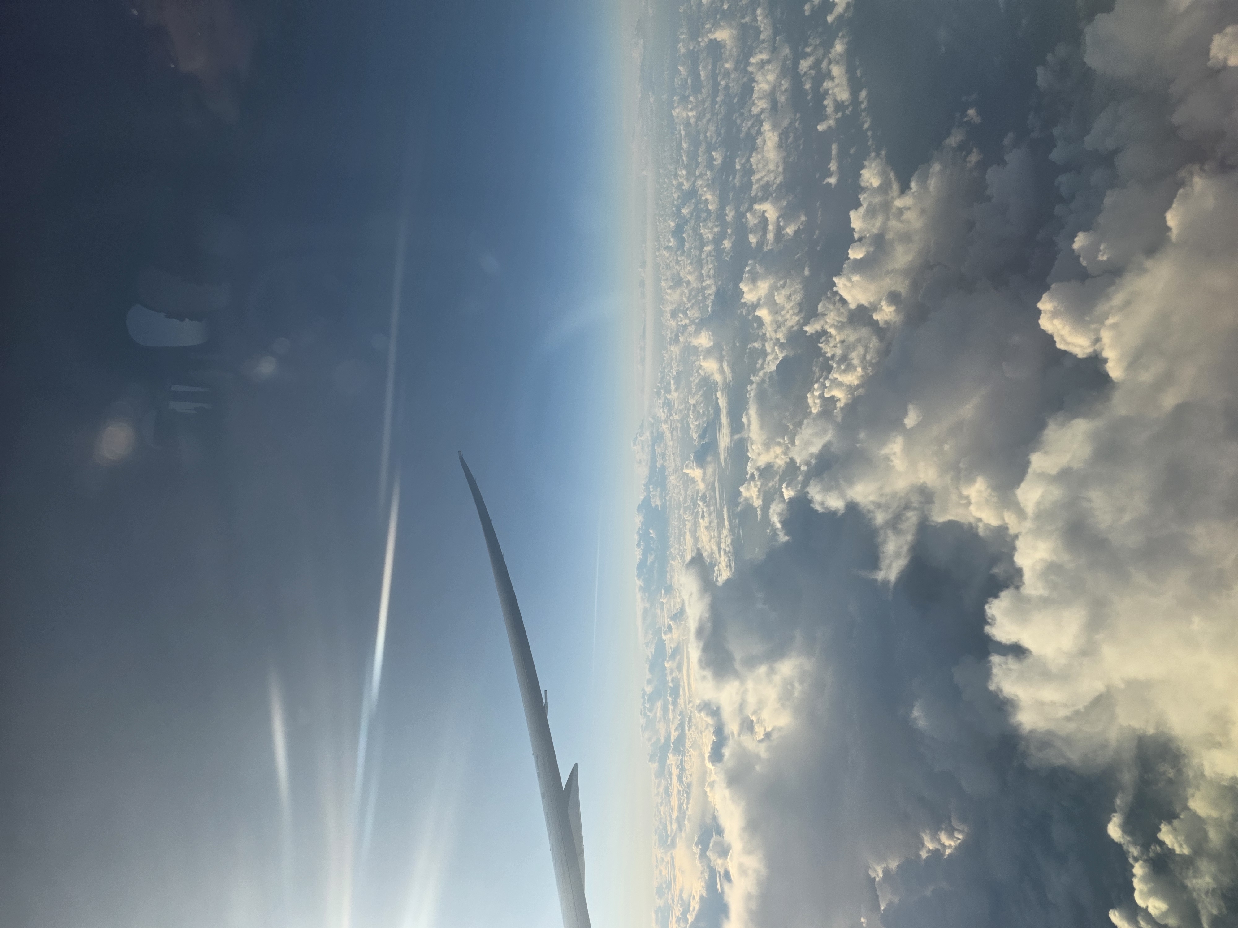 RISE 미국 해외연수 프로그램 1편